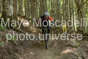 IMG_3134