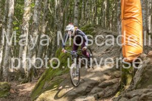 IMG_3152