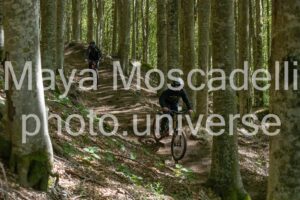 IMG_3154
