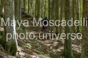 IMG_3156