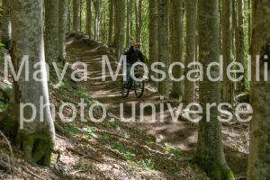 IMG_3158