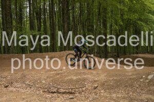 IMG_3185