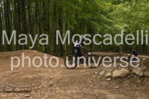 IMG_3186