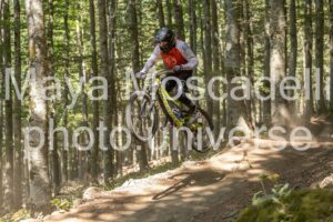 IMG_3220