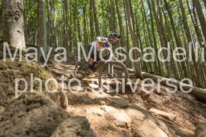 IMG_3224