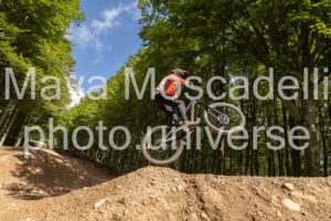 IMG_3224