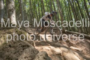 IMG_3228
