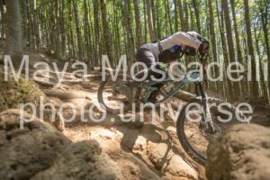IMG_3232