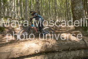 IMG_3235