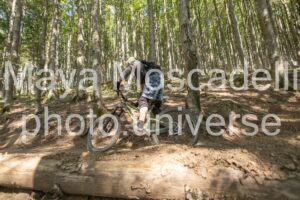 IMG_3239