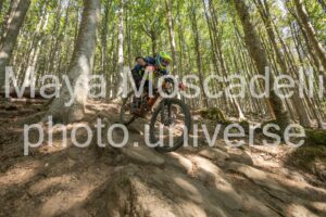 IMG_3241
