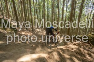 IMG_3244