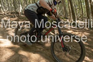 IMG_3246