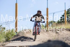IMG_3772