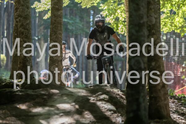 IMG_3848