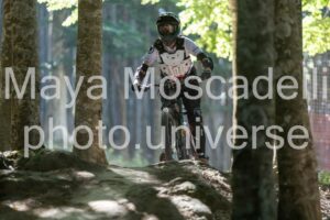 IMG_3862