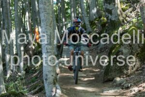 IMG_3879