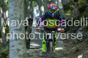 IMG_3916