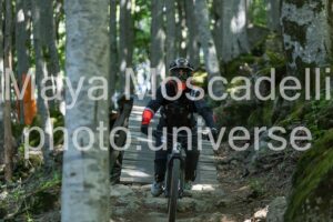 IMG_3923