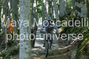 IMG_3994