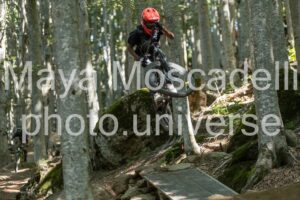 IMG_4088