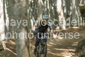 IMG_4104