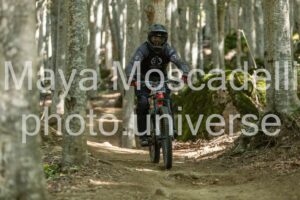 IMG_4114