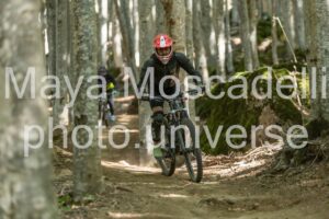 IMG_4121