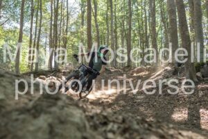 IMG_4230