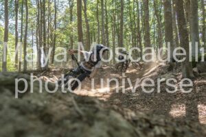 IMG_4234