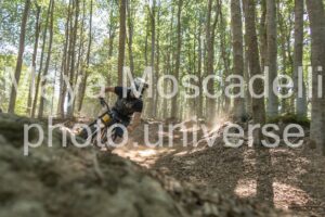 IMG_4241