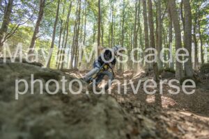 IMG_4242