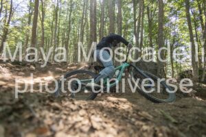 IMG_4247