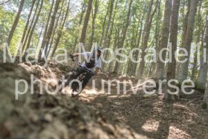 IMG_4248