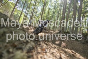 IMG_4249