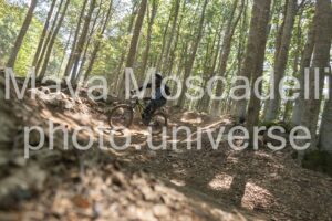 IMG_4252