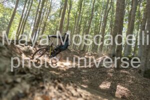 IMG_4253