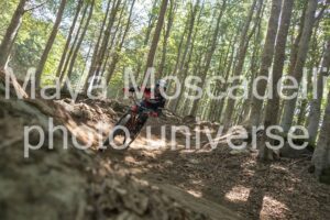 IMG_4257