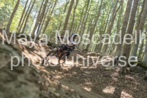 IMG_4261