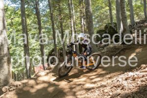 IMG_4267