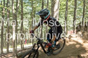 IMG_4278