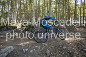 IMG_4288
