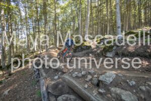 IMG_4290