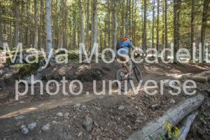 IMG_4293