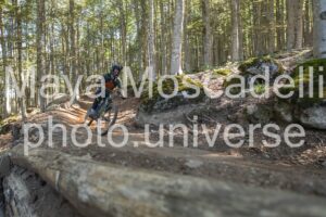 IMG_4301