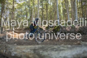 IMG_4302