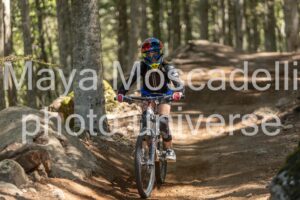 IMG_4339