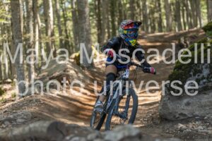 IMG_4341