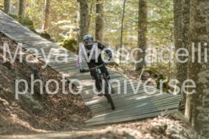 IMG_4384