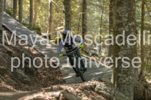 IMG_4388